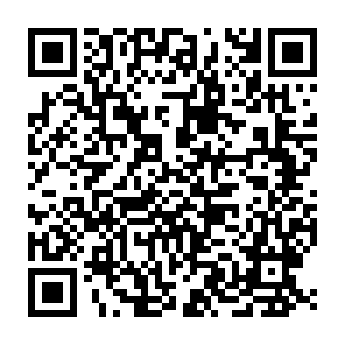 QR code for TZZ 384