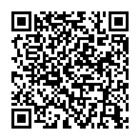 QR code for plate UBN 493