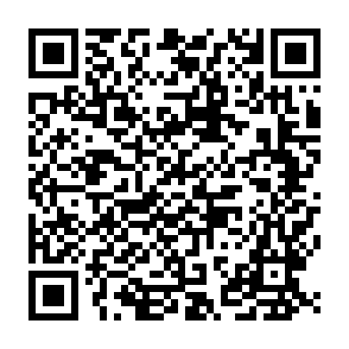 QR code for UDE173