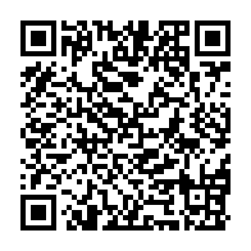 QR code for UDG 161