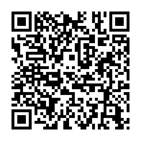 QR code for UDI 302