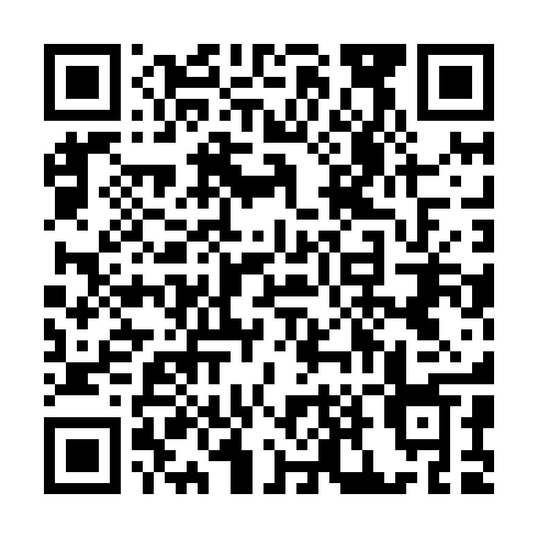 QR code for UDM 911