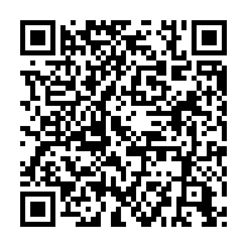 QR code for UDP 593