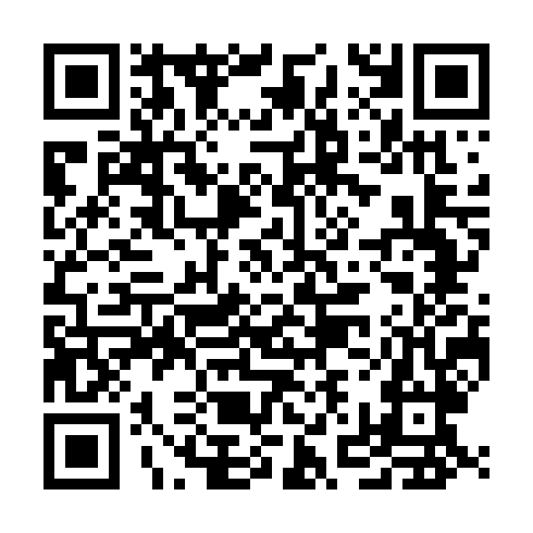 QR code for UPI 394