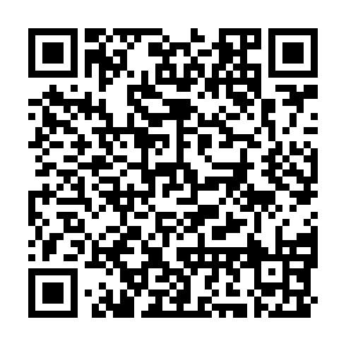QR code for plate USA 381