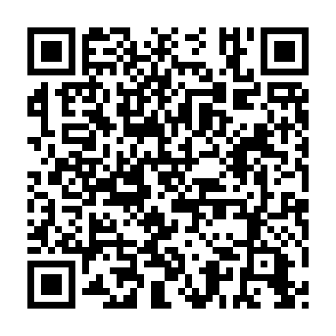 QR code for plate USM 311
