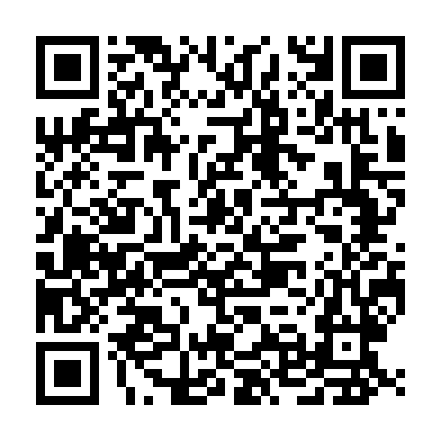 QR code for UST 393