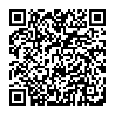 QR code for UZS 433