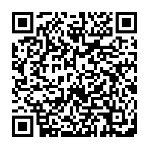 QR code for plate VAO 771
