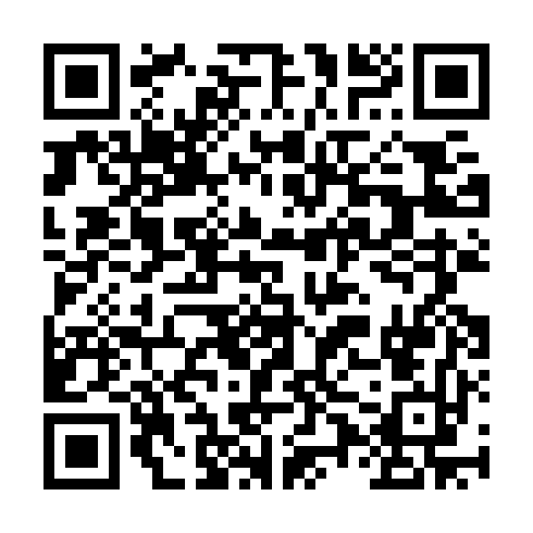 QR code for plate VBG 382