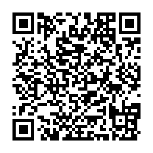 QR code for VBV 313