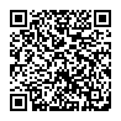 QR code for VBX 313