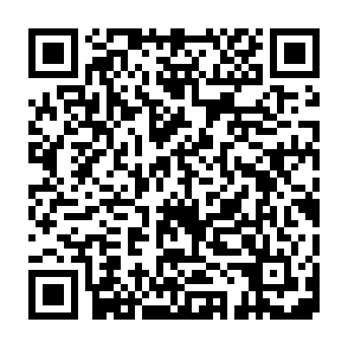 QR code for VCM 313