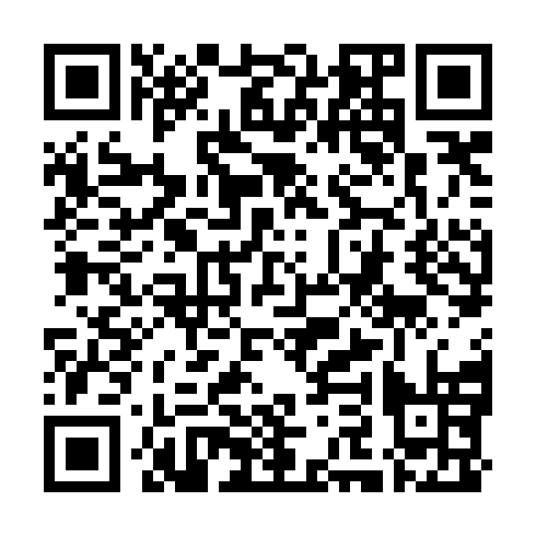 QR code for plate VDV 384