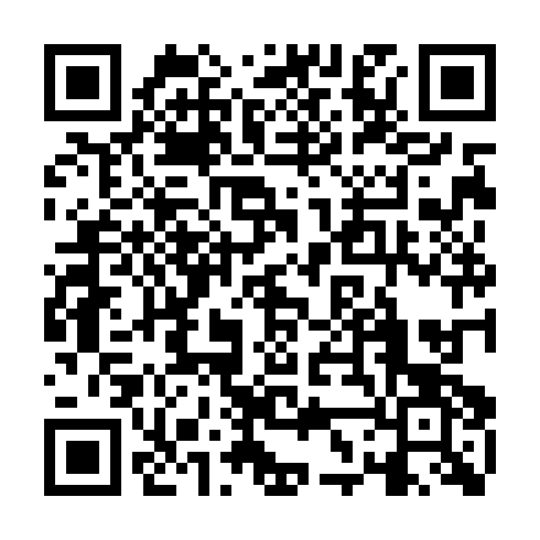 QR code for plate VDV 933