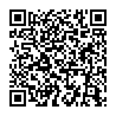 QR code for VFS 919