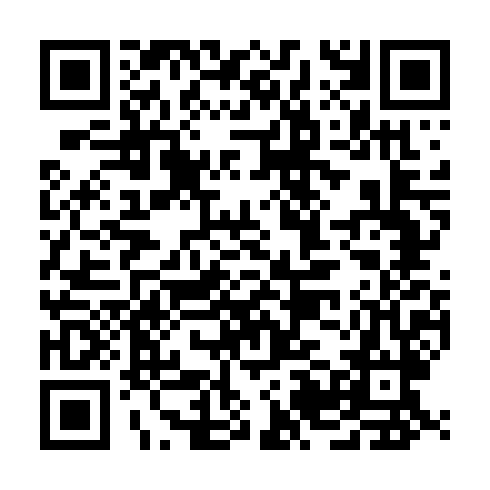 QR code for plate VFS 384