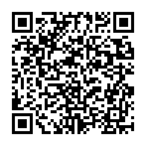 QR code for VGL 313