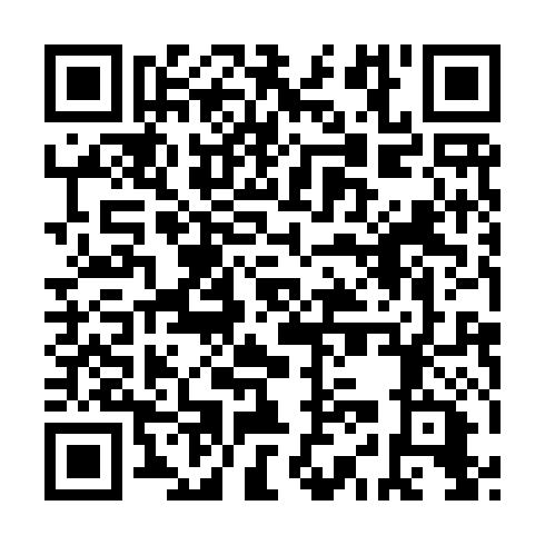 QR code for VIL919