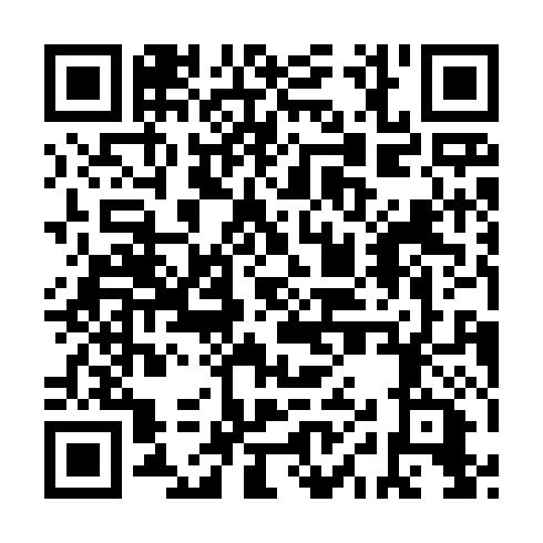 QR code for VIS 030