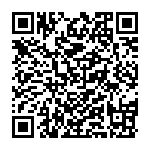 QR code for VKI 496