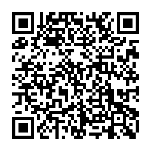 QR code for plate VKM 383
