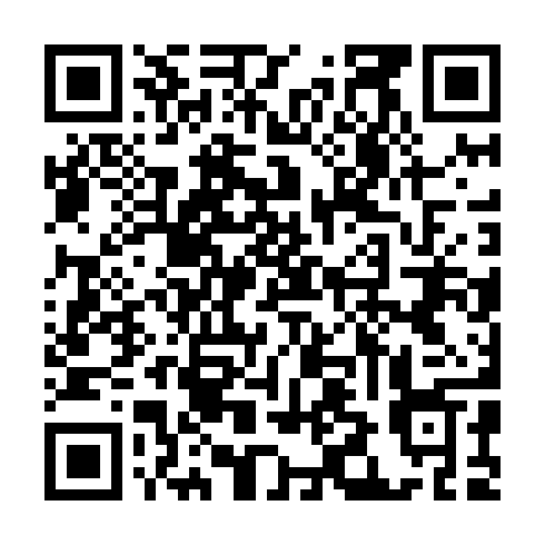 QR code for VLP 029