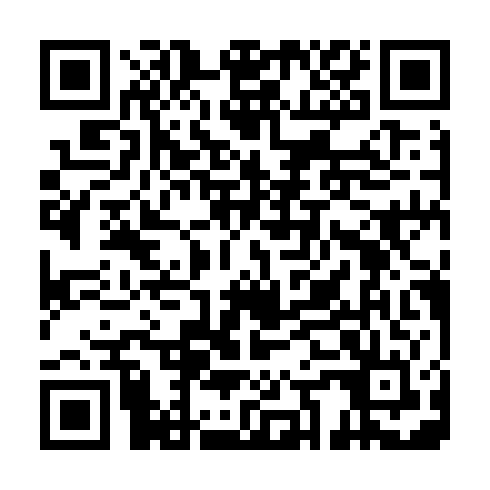 QR code for VNE 389