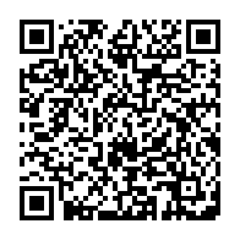 QR code for plate VNG 655