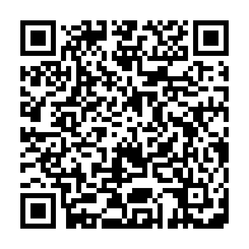 QR code for plate VOM 541