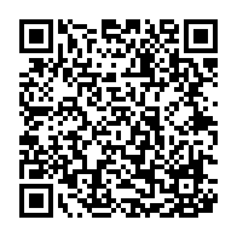 QR code for VPG 013