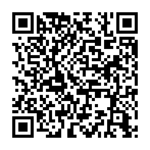 QR code for VPN 493