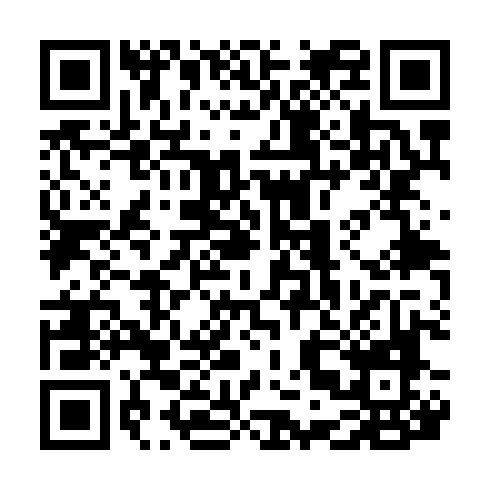 QR code for VSE 538