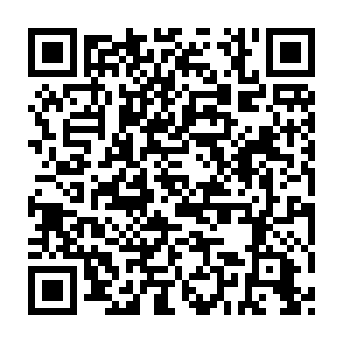 QR code for plate VSG 065