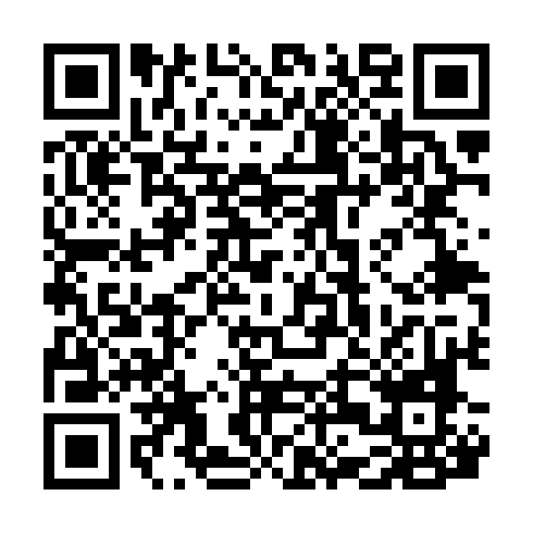 QR code for VSM 029