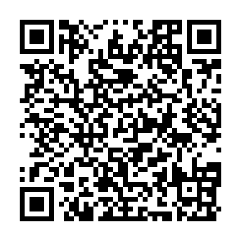 QR code for VSN 613