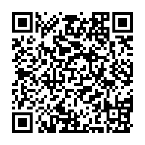 QR code for VVN 384