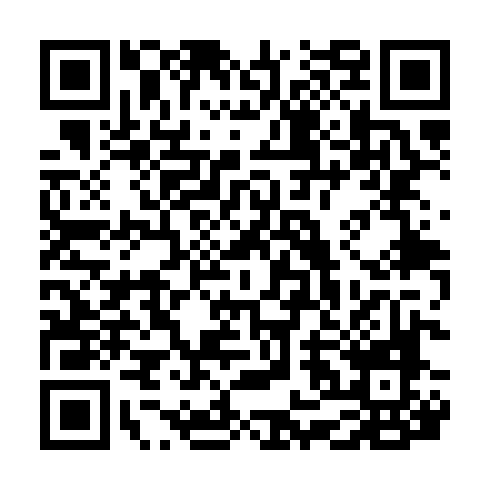 QR code for VVP 313