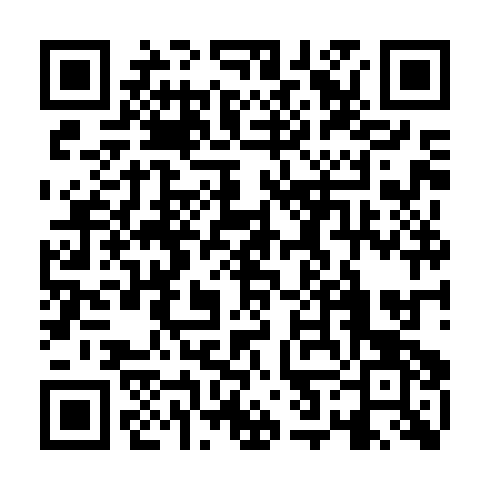 QR code for VVZ 595