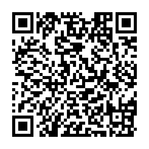 QR code for plate VXM 272