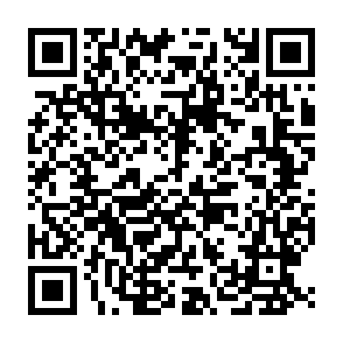 QR code for VYE 383