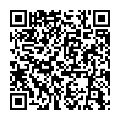 QR code for plate VYY 033