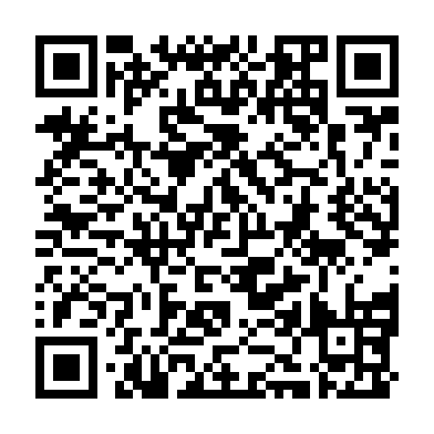 QR code for VZF 393