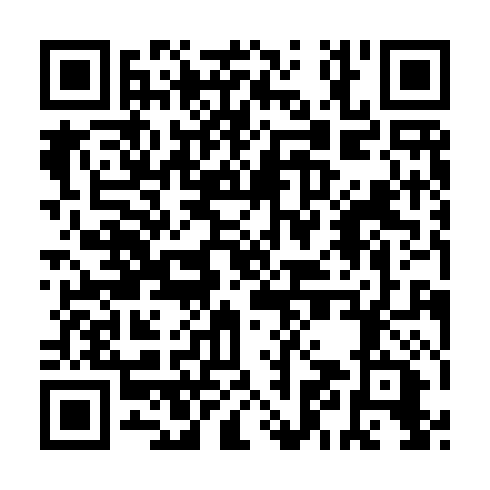 QR code for VZI271