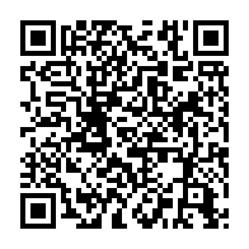 QR code for WGT 919