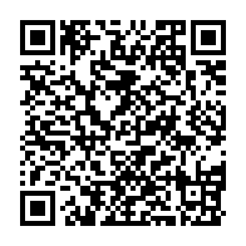 QR code for plate WHX 496