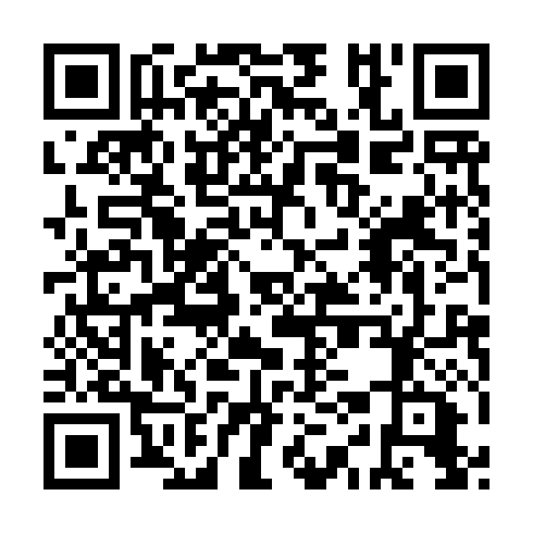 QR code for WII319
