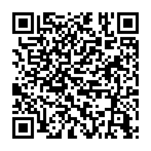 QR code for plate WIJ 307