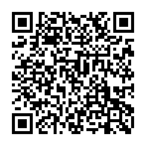 QR code for WIR 383