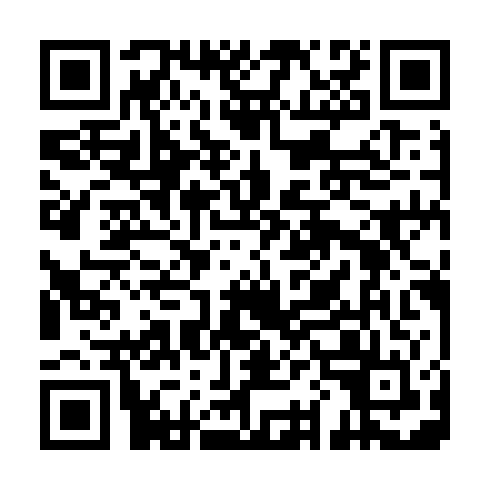 QR code for plate WKX 699
